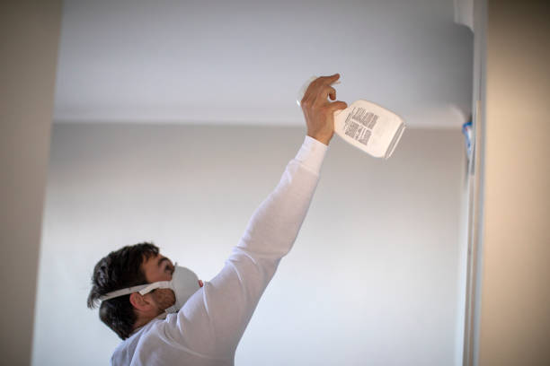 Best Mold Removal Company Near Me  in Willow Creek, CA