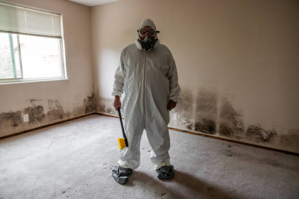 Best Affordable Mold Removal  in Willow Creek, CA